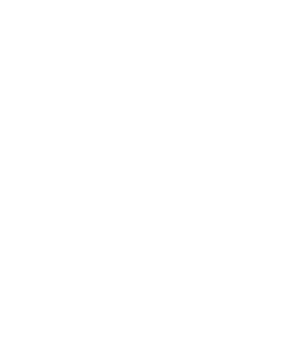 Grupo Lima Gonçalves